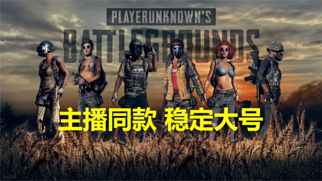 稳定大号.png